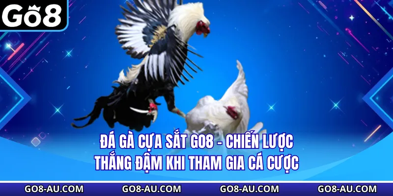 Đá Gà Cựa Sắt GO8 - Chiến Lược Thắng Đậm Khi Tham Gia Cá Cược